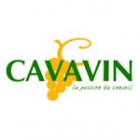 Cavavin Nice